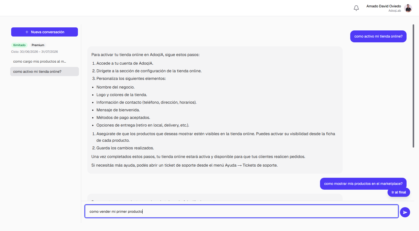 Vista del Asistente IA con una conversación de ejemplo mostrando consulta y respuesta